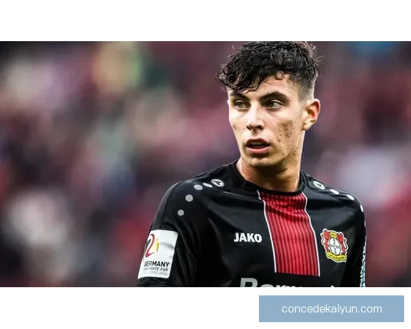 兹沃勒转会策略分析：球队竞争力增强与未来展望